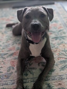 🦄MOVING SALE🦄 SEND AN OFFER I CAN'T REFUSE💖ENDS MAY 5